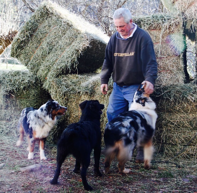 Etoile Du Berger Basque - NOBODY Knows His Dog Like a Shepherd